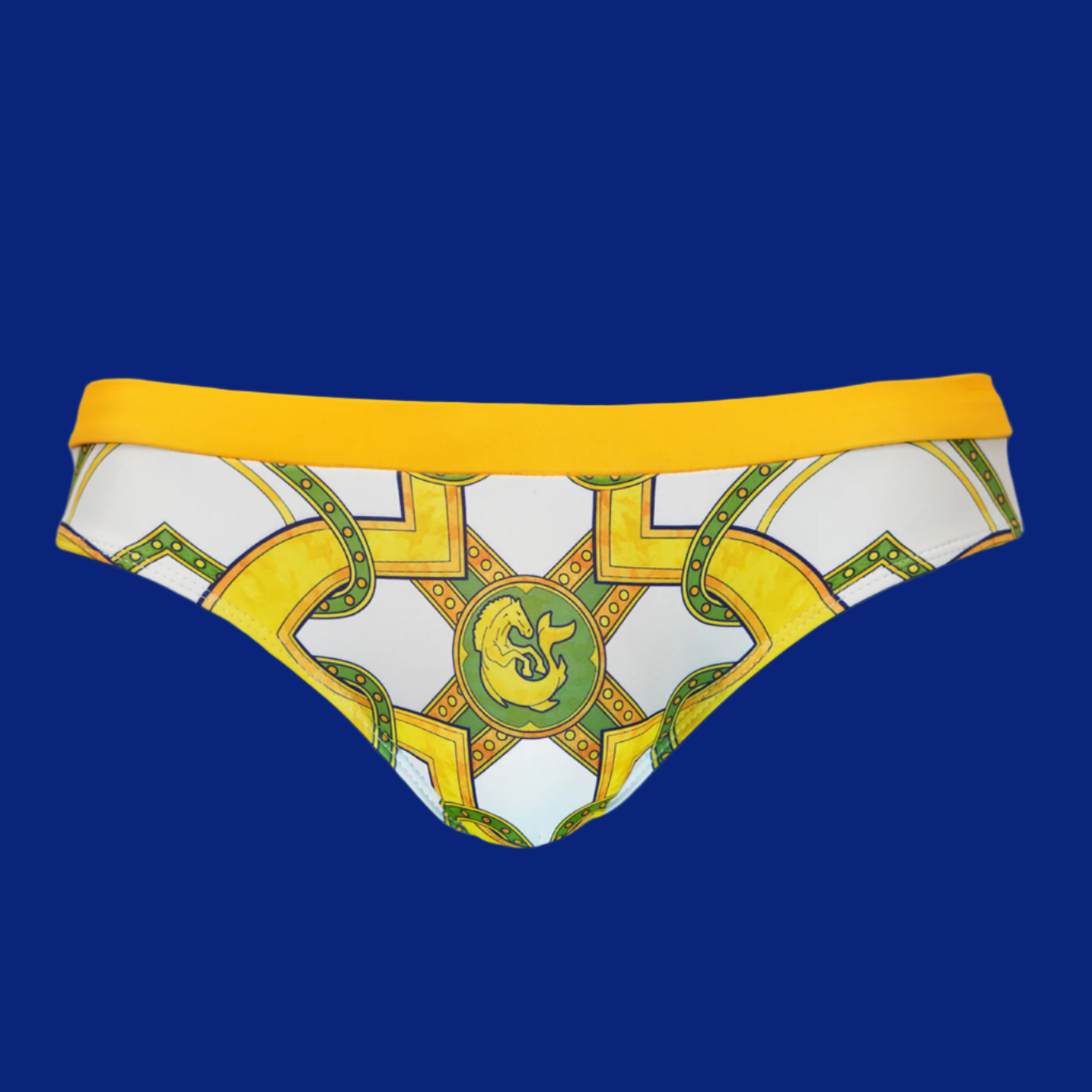 Arc Men's Swim Briefs