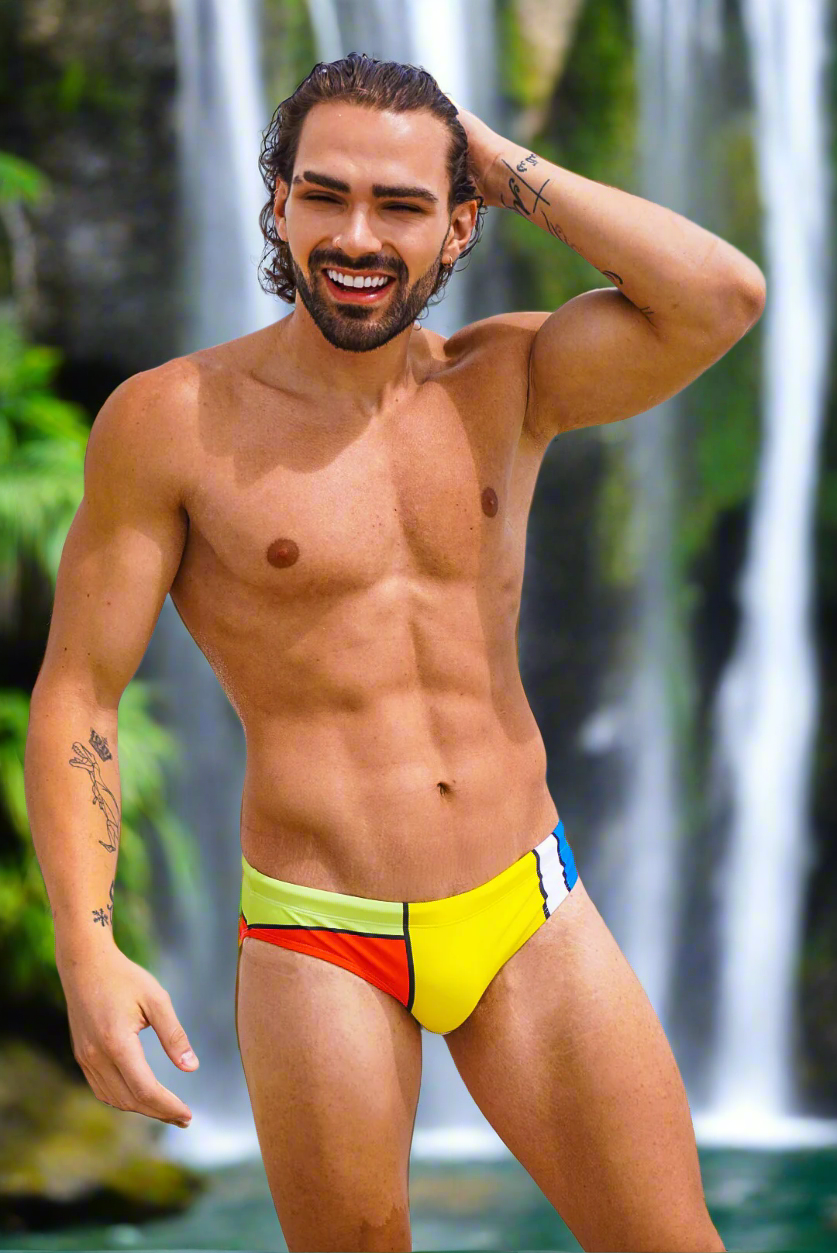 ModRian Men's Mondrian Inspired Swim Briefs