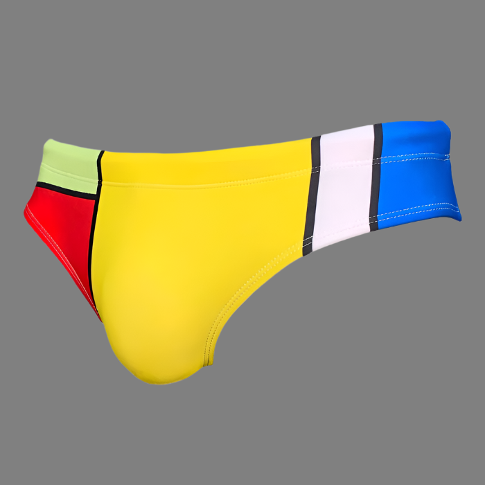 ModRian Men's Mondrian Inspired Swim Briefs