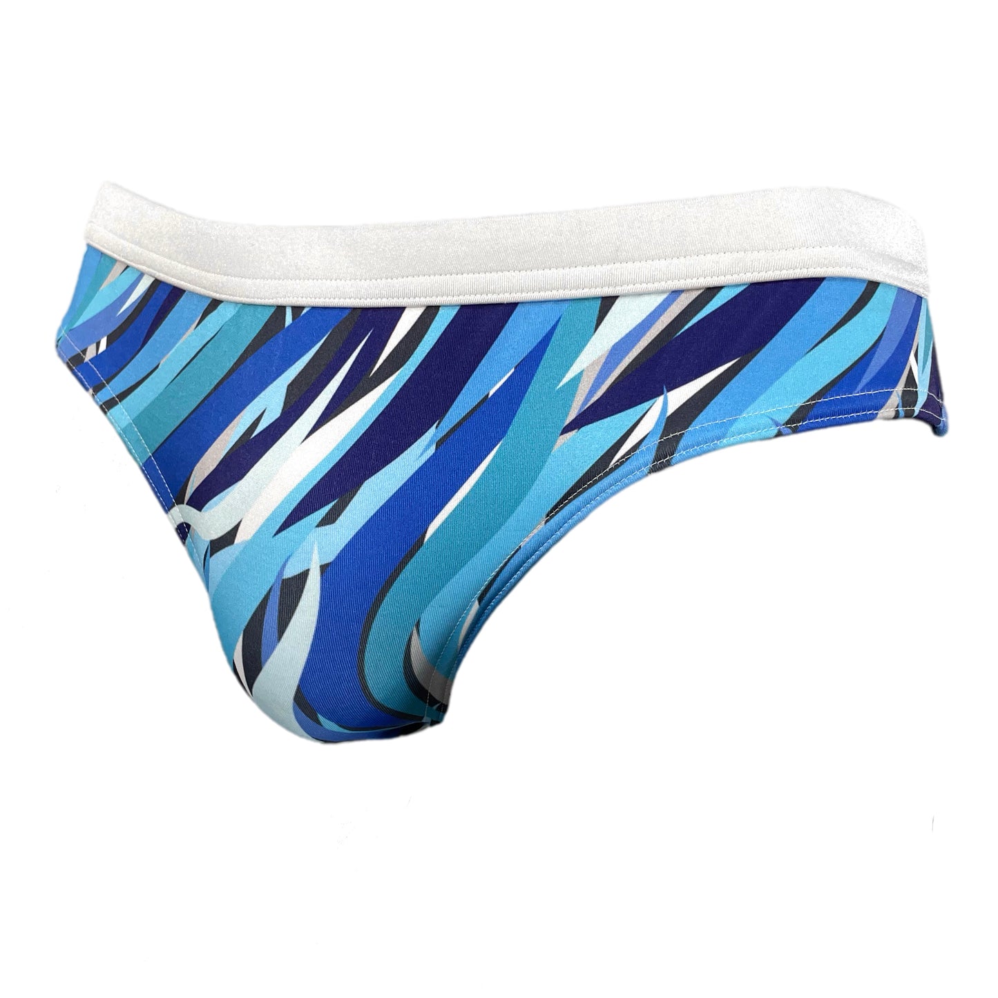 Ribbons of Blue Swim Brief